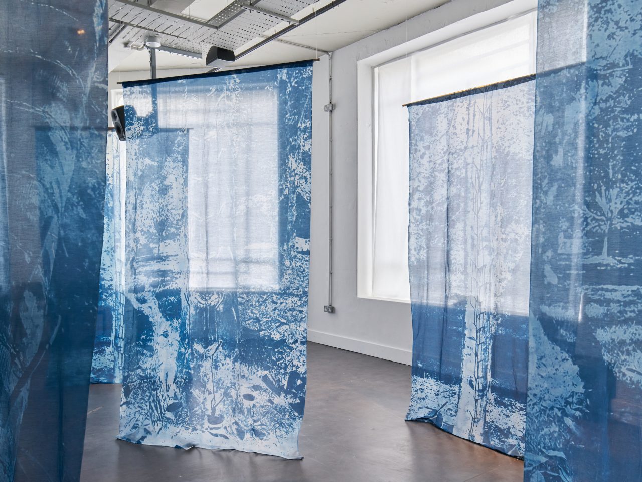 A textile installation with large cyanotypes hanging on thin fabric, the print shows trees in a forest.