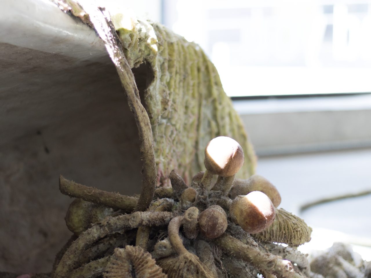 A close up shot of a sculpture that resembles an assemblage of plants.