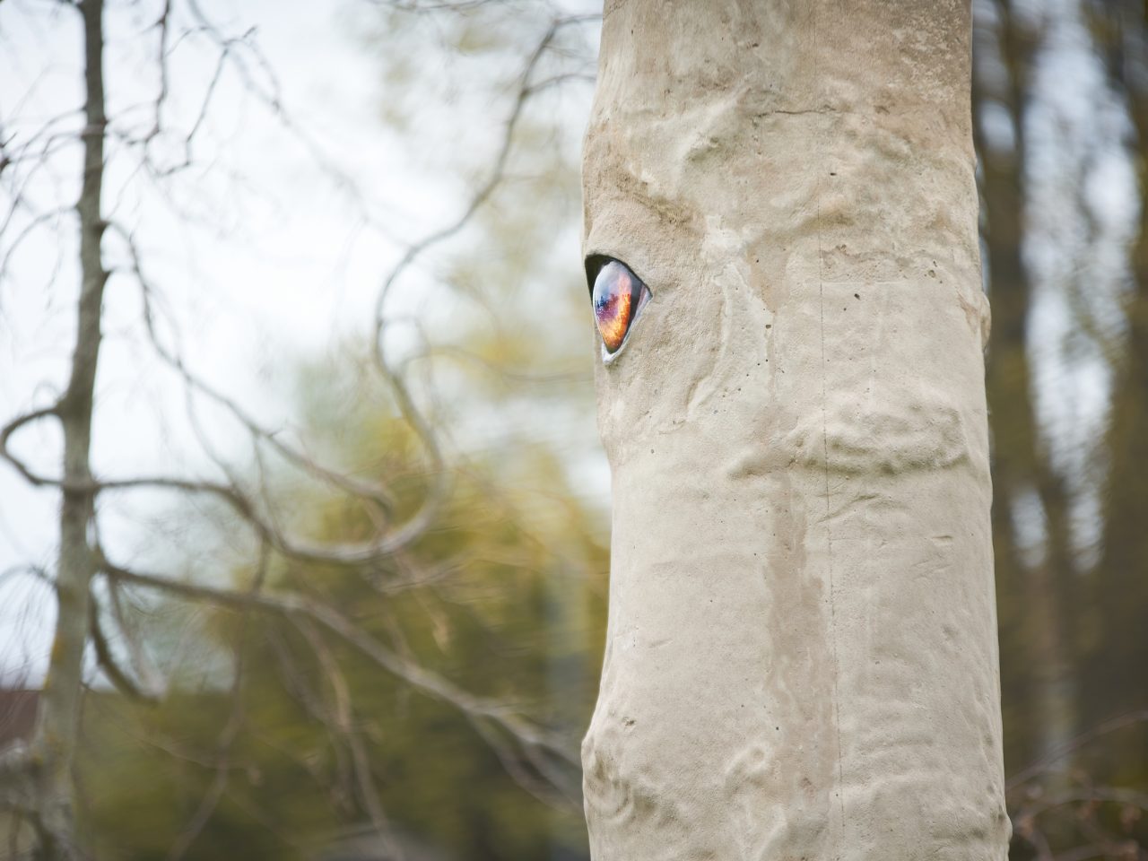 A sculpture made to disguise as a tree. The tree has a realistic orange/brown eye.