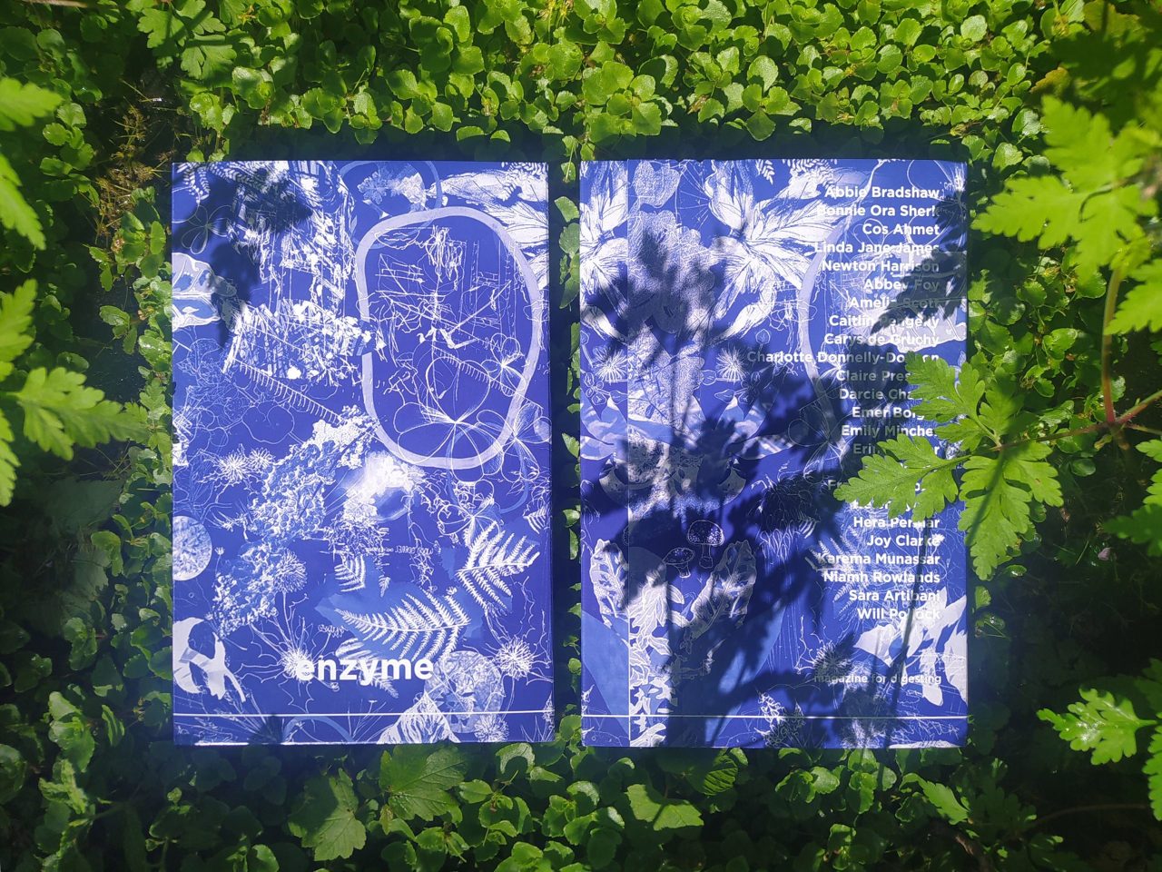 Two blue books in the grass. The books have white writing and illustrations on the cover.