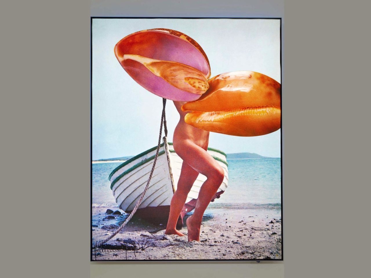 A collage of two flowers overlaying the top half of a persons body on a beach.