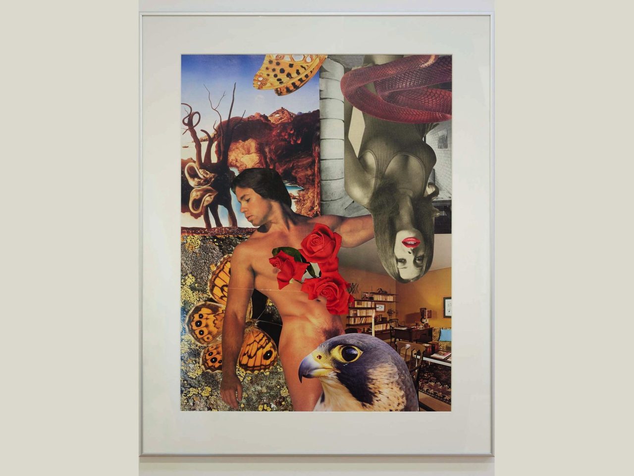 A framed busy collage with assets of people, flowers, insects, birds and other various imagery.