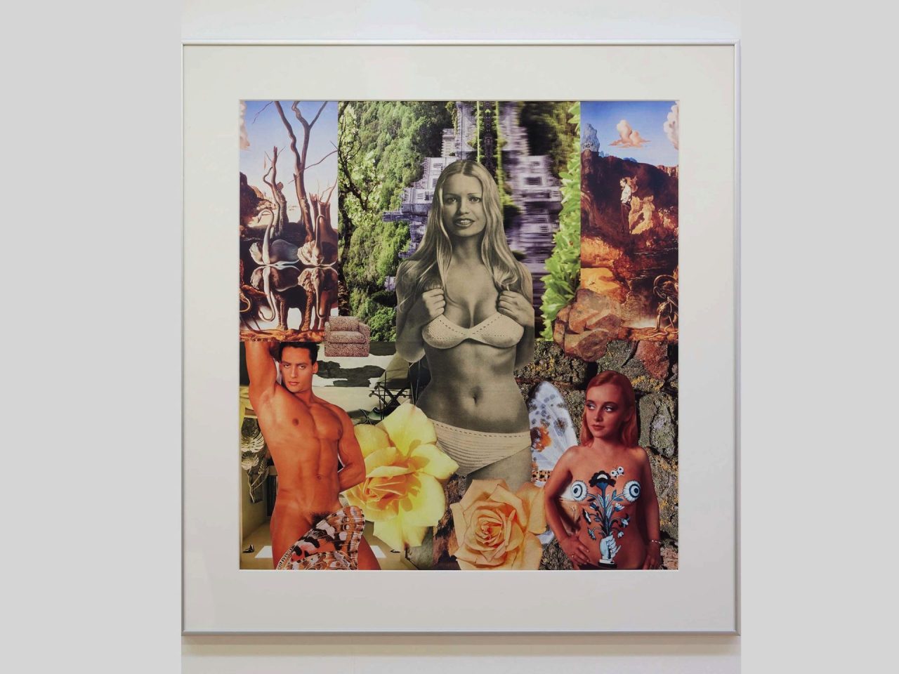 A framed collage of three people surrounded by flowers, butterfly wings, and cut-out images of landscapes and rocks.