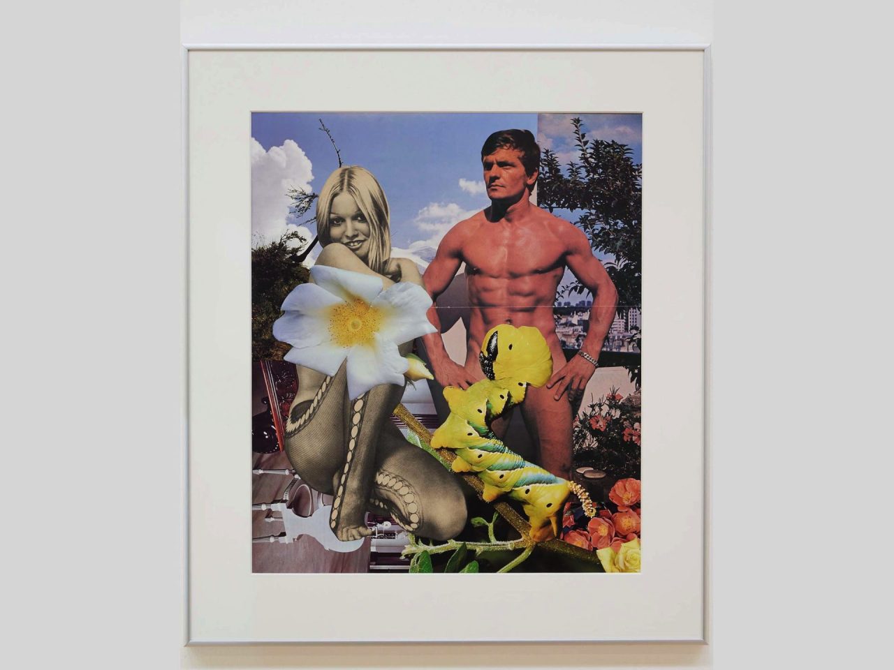 A framed collage with a large flower and yellow catipillar overlaying two people.