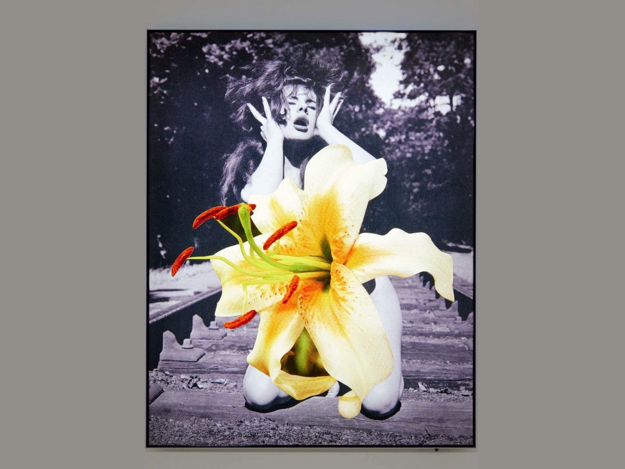 A collage of a bright yellow flower overlaying a persons body, only showing their facial expression.