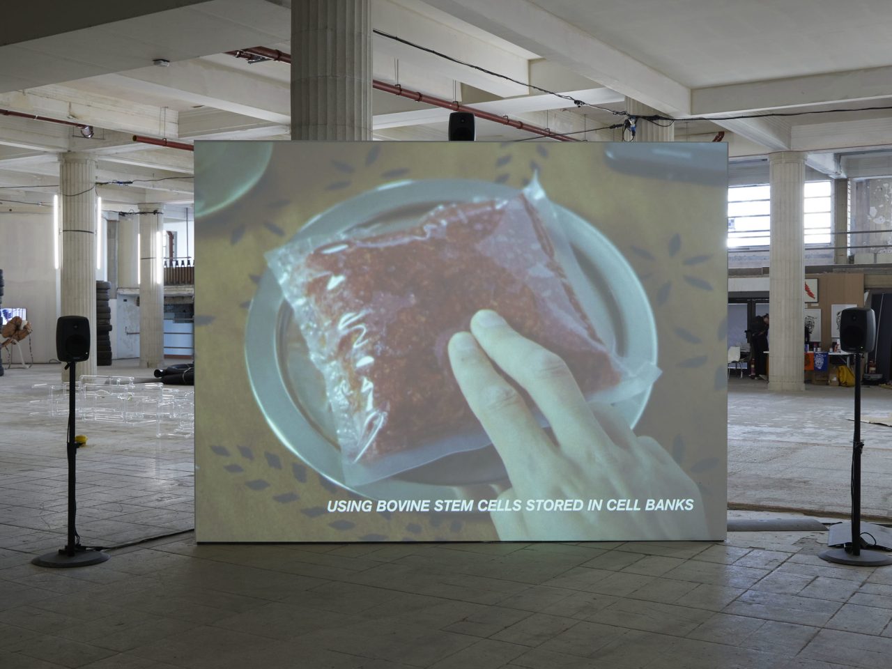 A free standing projector screen with a film still of someone touching meat plastic packaging and white text reading, 'Using bovine stem cells stored in cell banks'.