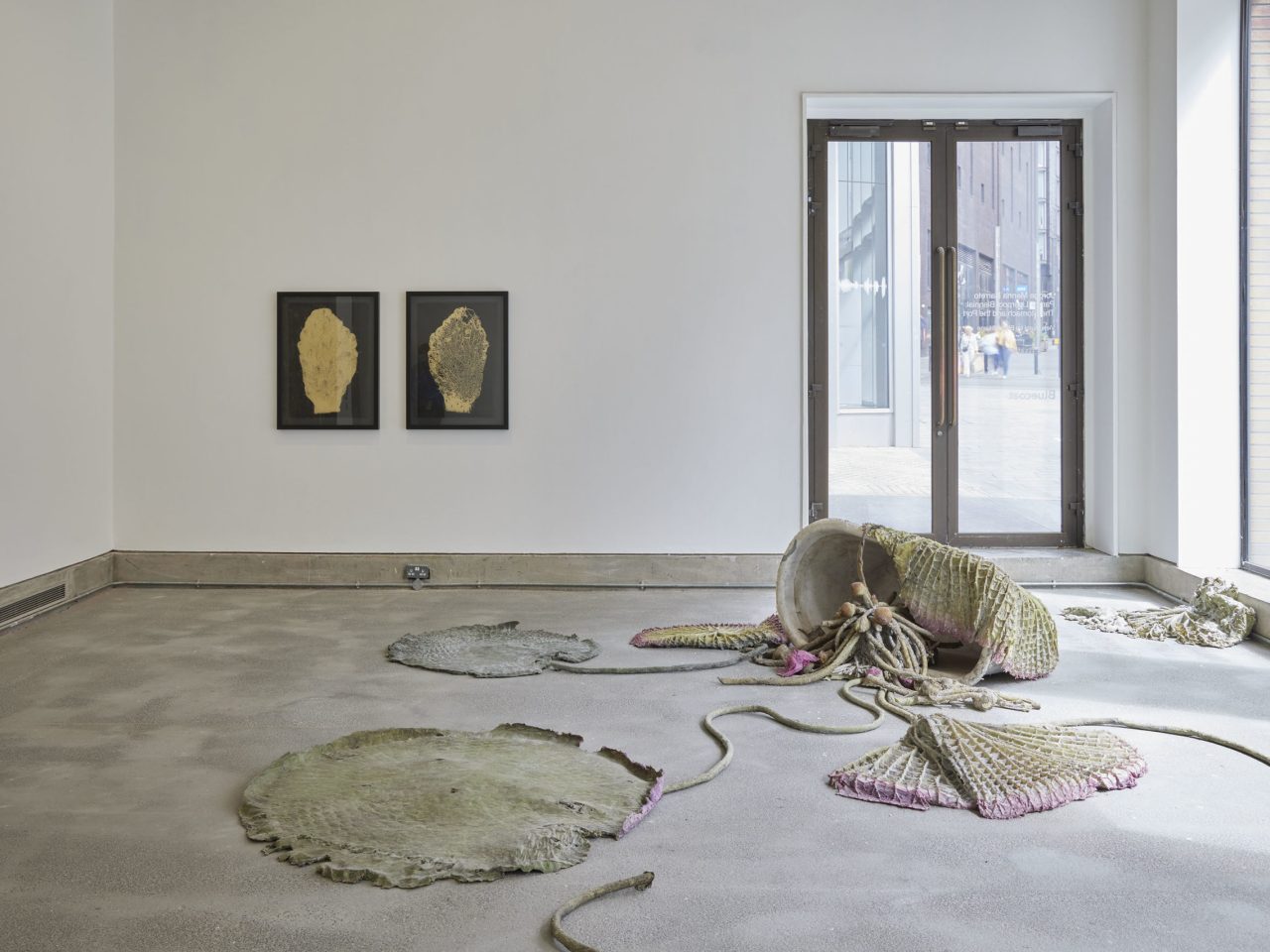 A silicone floor sculpture that takes the form of an assemblage of plants, the pieces retain the original colours of the plants they were cast in.