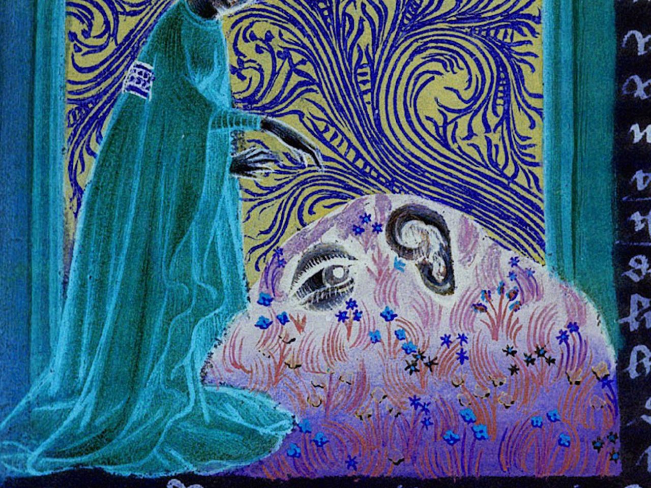 An inverted image of an illustration. It shows a person looking down into the flowers beneath them.