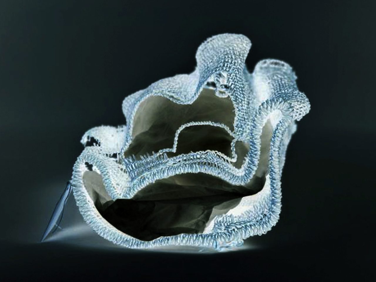 an inverted image of a string bag