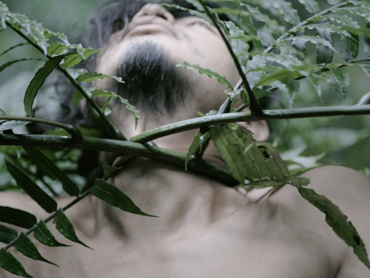 Someone with their had bent backwards and branches and leaves wrapped around their neck.